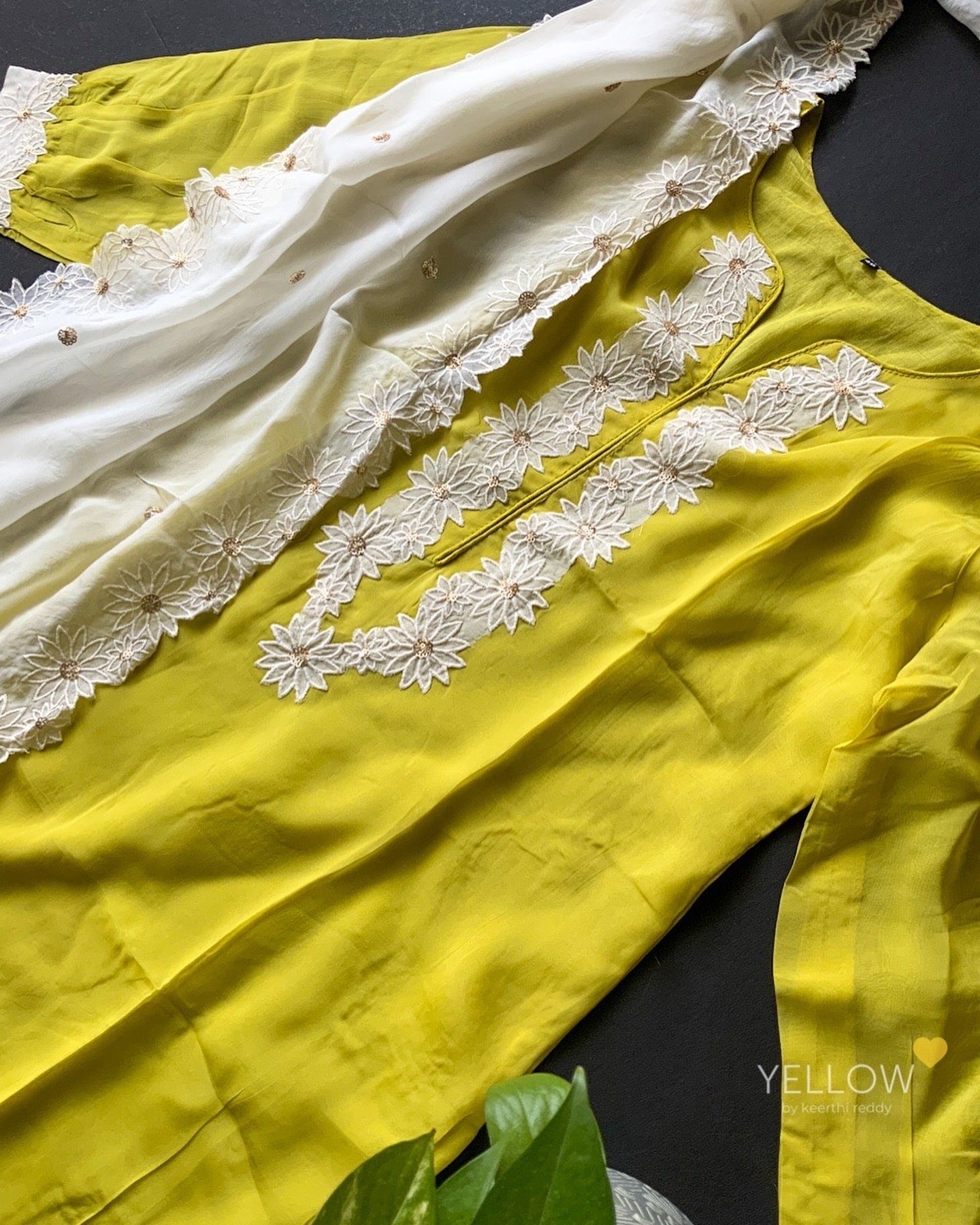 Monsoon Daisies ๐ผ