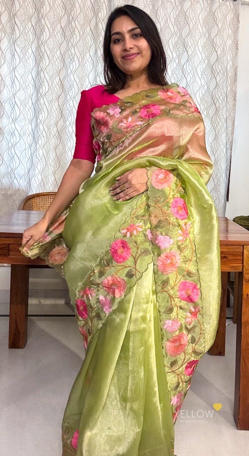 Organza embroidered saree